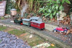 Firs Garden Railway 18