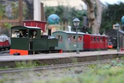 Firs Garden Railway 19